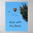 Search for soaring bird posters Flight