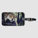 Search for wildcats accessories Jungle