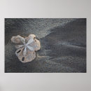Search for el salvador decor Central america