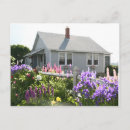 Search for scarborough postcards Vintage