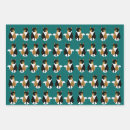 Search for calico cat wrapping paper Pets
