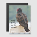 Search for comical birds invitations Party