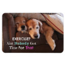 Search for dog napping magnets Funny