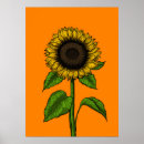 Search for sunflower drawing art Autumn