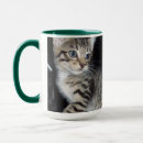 Search for moggi mugs Kitten