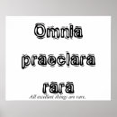 Search for latin language posters School