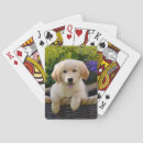 Search for furry playing cards Puppy