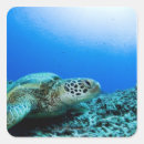 Search for rest stickers Animals
