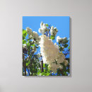 Search for lilac canvas prints Bloom