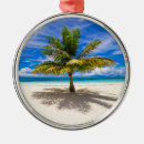 Search for maldives christmas tree decorations Bora bora