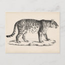 Search for wildlife art postcards Antique