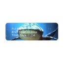 Search for shark return address labels Underwater