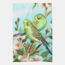 Search for budgerigar Green