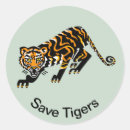 Search for tiger design stickers Wild animals