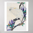 Search for cockatoo art posters Floral
