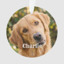Search for holiday pet memorial christmas tree decorations Create your own