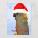 Search for cockatoo christmas cards Xmas