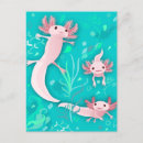 Search for axolotl postcards Aquatic