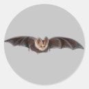 Search for bat illustration stickers Animal