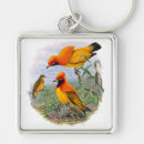 Search for orange bird key rings Tropical