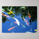 Search for freshwater fish posters Lake