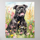 Search for cane corso art Dog