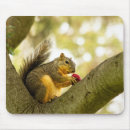 Search for critter electronics Cute