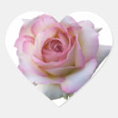 Search for beautiful pink rose stickers Heart