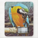 Search for macaws mouse mats Pet