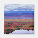 Search for tundra magnets Autumn