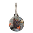 Search for christmas cat tags Winter
