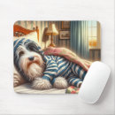 Search for bearded collie gifts Cute