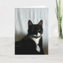 Search for sarcastic birthday cards Party