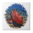 Search for turquoise fish tiles Ocean