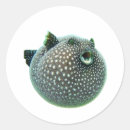 Search for puffer stickers Blowfish