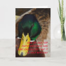 Search for mathematician cards Humour