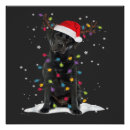 Search for christmas tree lights posters Dog