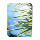 Search for blading magnets Grass