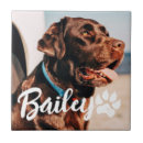 Search for pet photo tiles Create your own