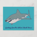 Search for blue shark postcards Fish