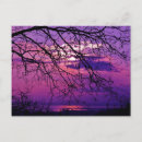 Search for intense postcards Nature