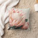 Search for protea cushions Botanical
