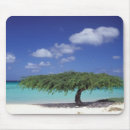 Search for aruba standard mouse mats Sea