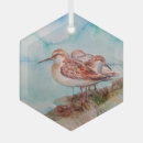 Search for sandpiper christmas tree decorations Beach