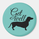 Search for shortness magnets Dachshund