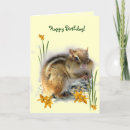 Search for chipmunk birthday cards Squirrel