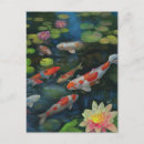 Search for fish swimming postcards Koi
