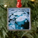 Search for endangered christmas tree decorations Snow