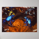Search for poison dart frog posters Amphibians