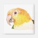 Search for caique White